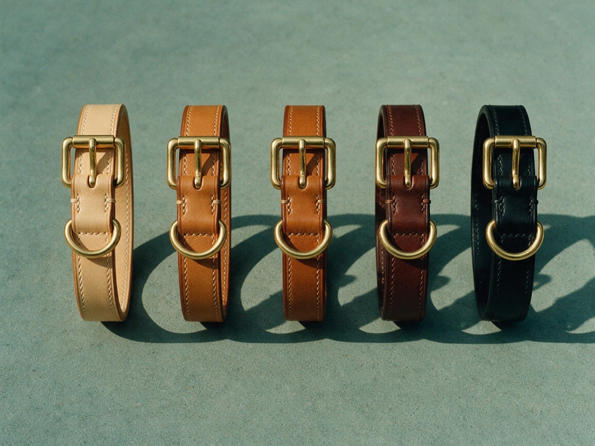 The Martingale