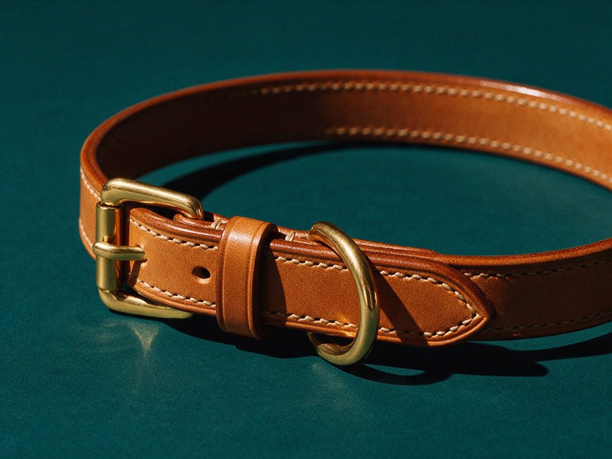 The Bridle Collar