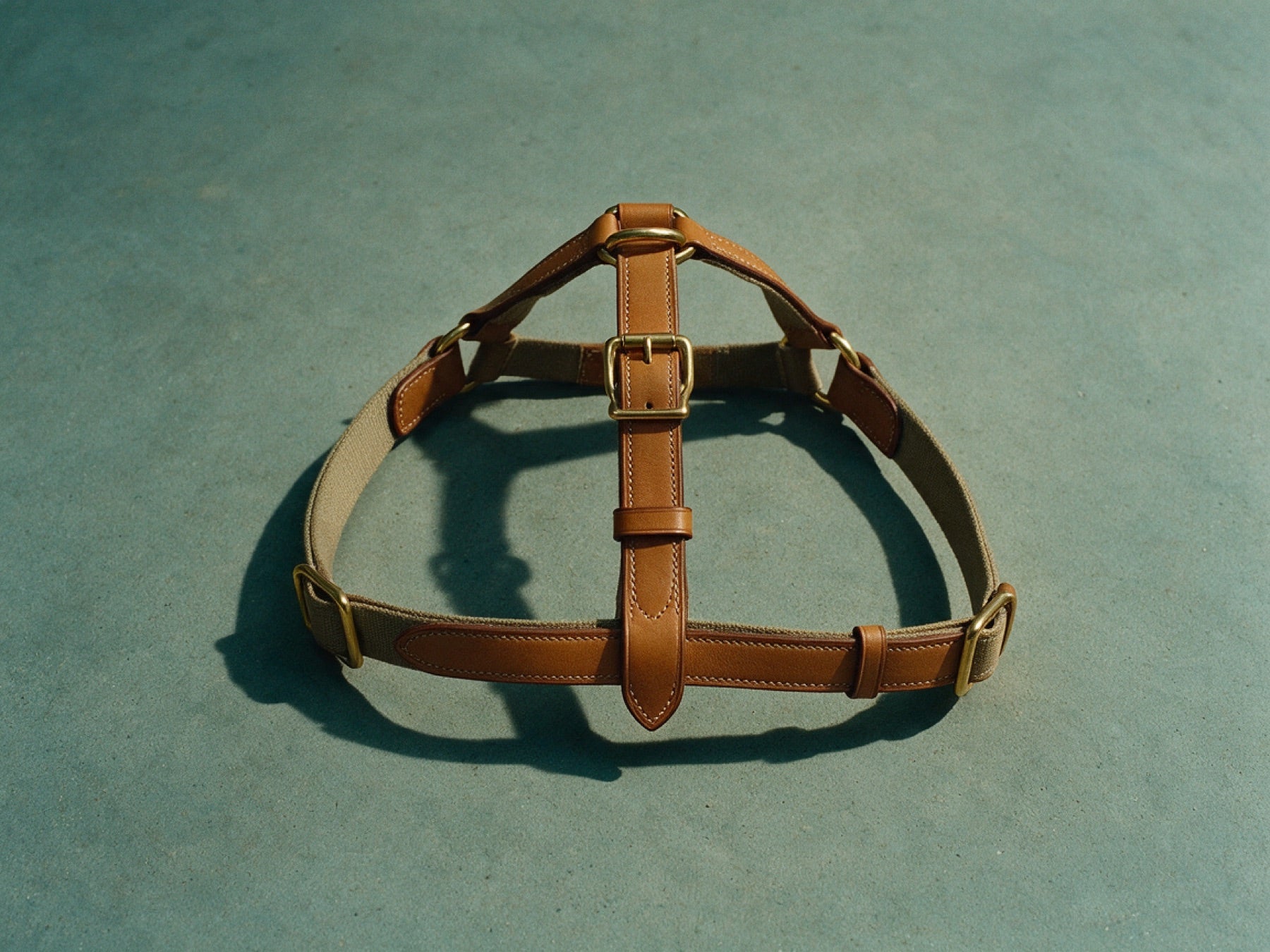Harness