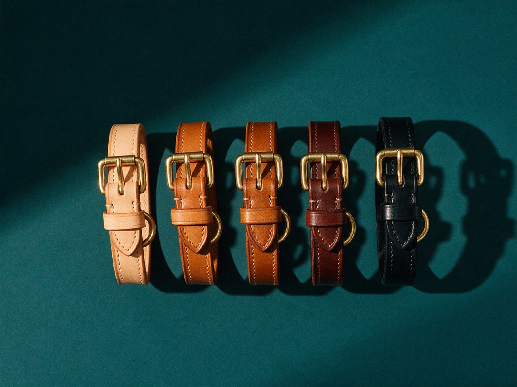 Five collars in natural, saddle tan, whiskey, brandy and black